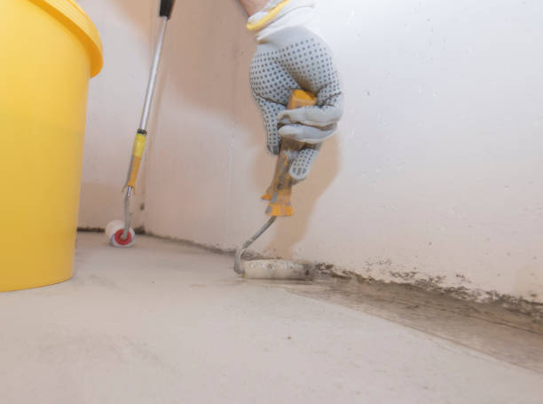 Best Fumigation Services  in Amite City, LA